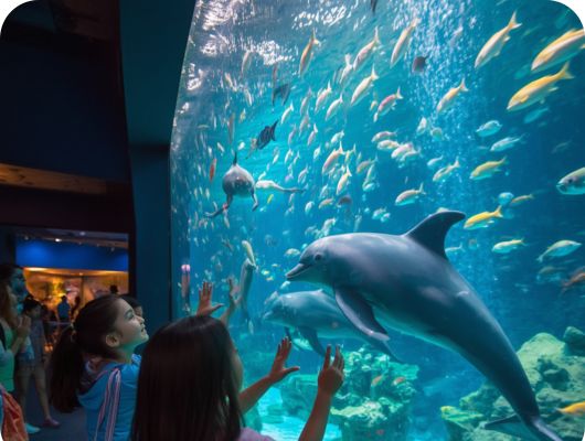 SeaLife Bangkok (Child 2-11 yrs only)