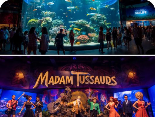 SeaLife Bangkok + Madam Tussauds (Combo)