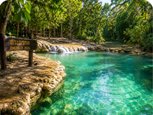 Krabi - Emerald Pool + Hot Spring (No Lunch)